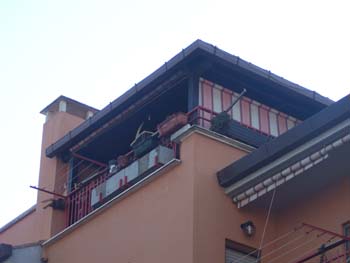 Immagine annuncio