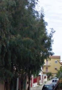 Foto miniatura 2