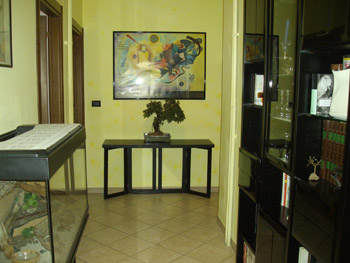 Foto miniatura 4