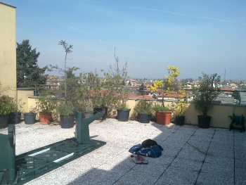 Immagine annuncio