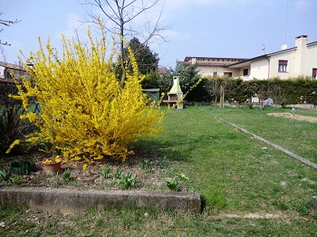 Foto miniatura 3