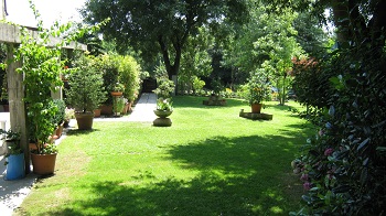 Foto miniatura 3