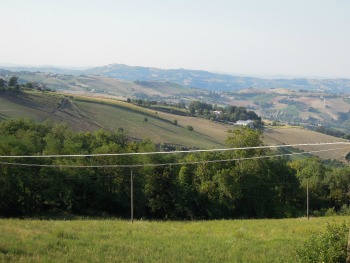 Immagine annuncio