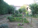 Immagine annuncio