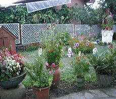 Foto miniatura 2