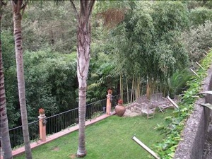 Foto miniatura 4