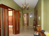 Foto miniatura 2