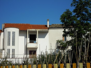 Foto miniatura 2