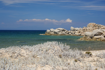 Immagine annuncio