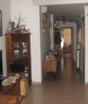 Foto miniatura 2