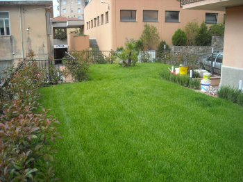 Immagine annuncio