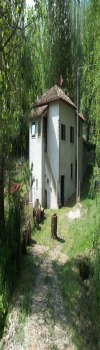 Immagine annuncio