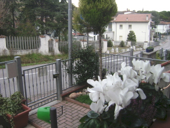 Foto miniatura 2