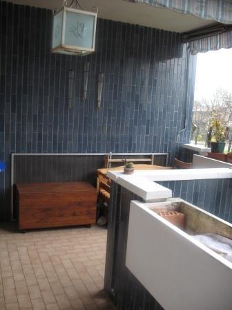 Foto miniatura 2