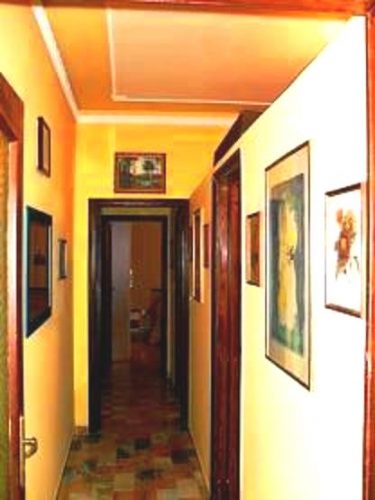 Foto miniatura 4