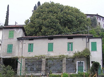 Immagine annuncio