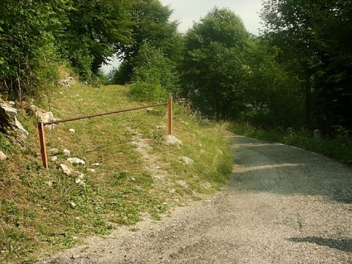 Foto miniatura 3