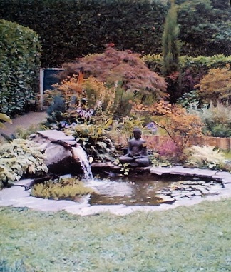 Foto miniatura 4