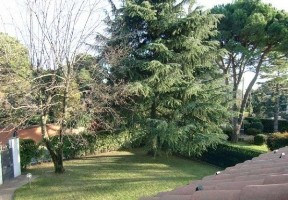 Foto miniatura 2