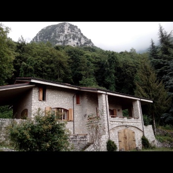 Immagine annuncio