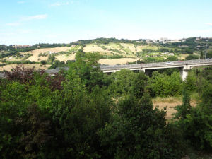 Immagine annuncio