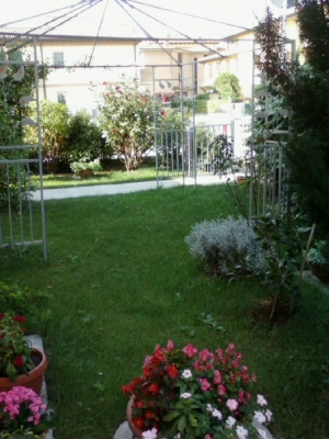 Immagine annuncio