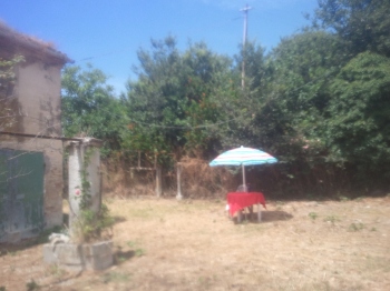 Foto miniatura 4