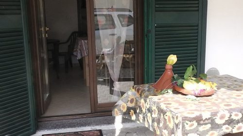 Foto miniatura 2