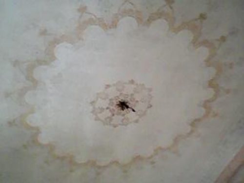Foto miniatura 3