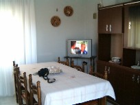 Foto miniatura 2