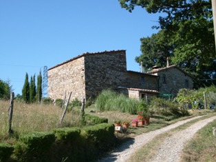 Immagine annuncio