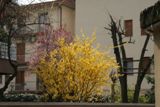 Foto miniatura 2