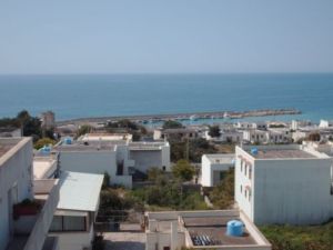 Foto miniatura 3