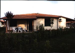 Immagine annuncio